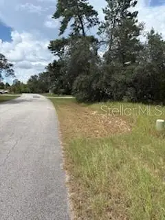 20 Tall Marigolds, Homosassa, FL 34448 - #3