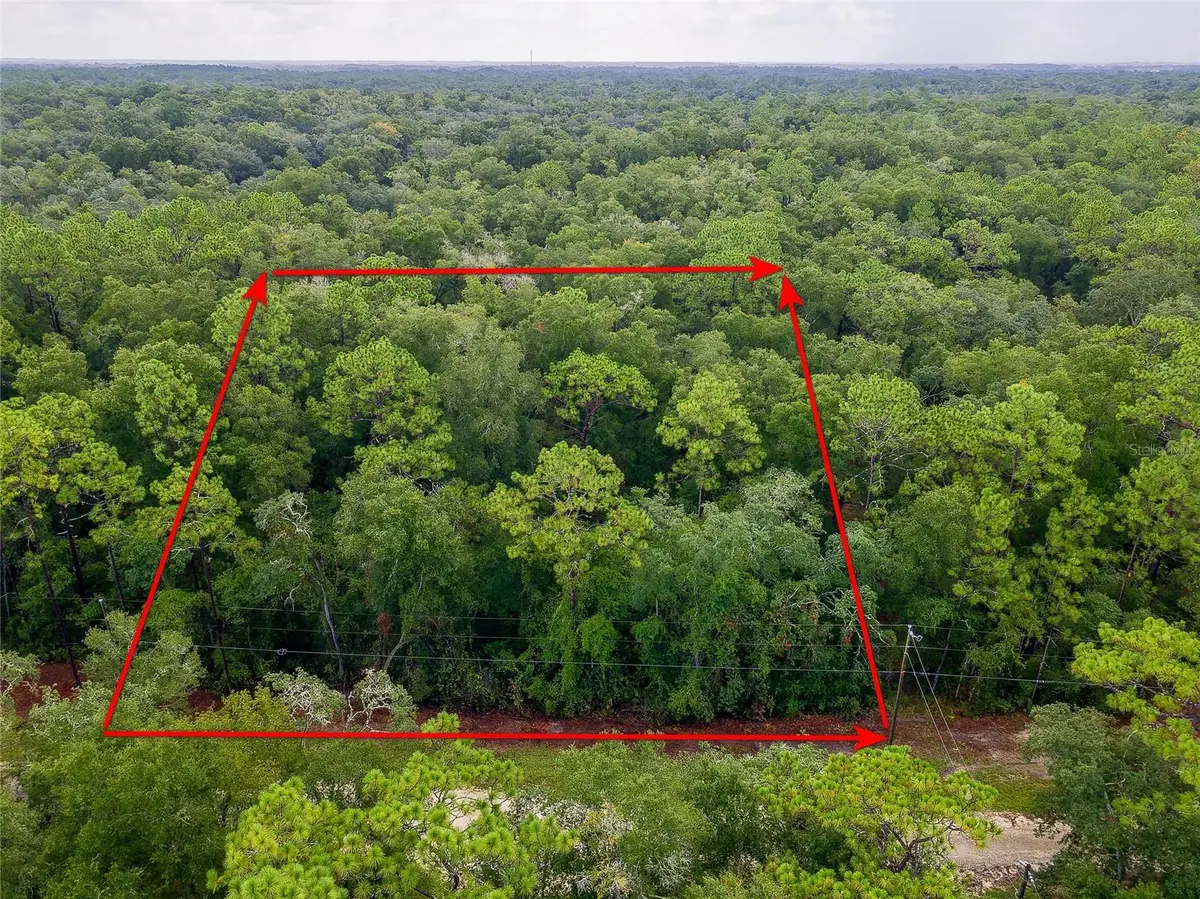 6342 Karwich Avenue, Webster, FL 33597 - #1