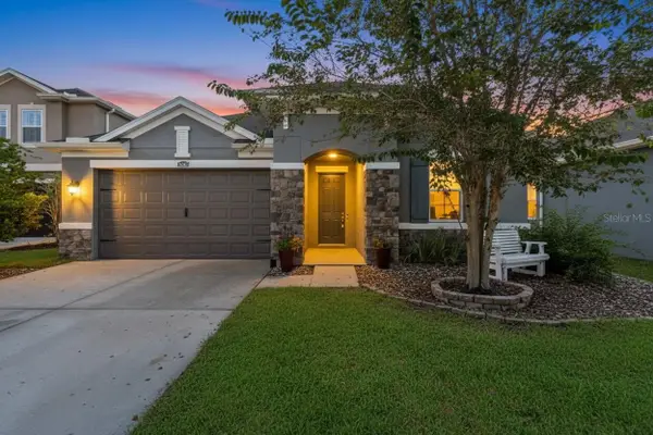 16361 Hyde Manor Drive, TAMPA, FL 33647