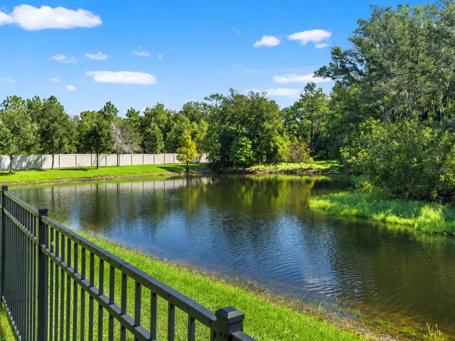 16361 Hyde Manor Drive, Tampa, FL 33647 - #3