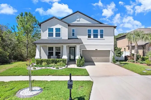 8721 Savory Walk Drive, LAND O LAKES, FL 34637