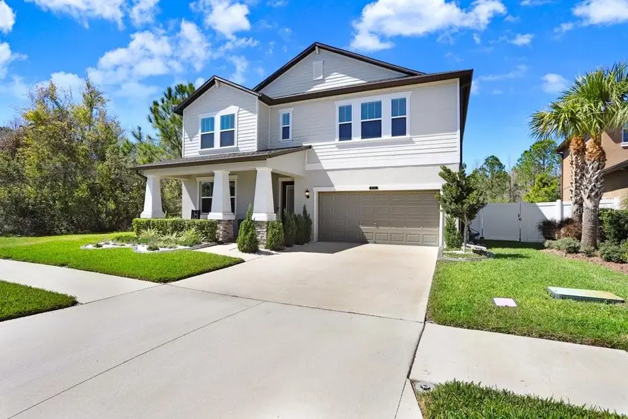 8721 Savory Walk Drive, Land O Lakes, FL 34637 - #2