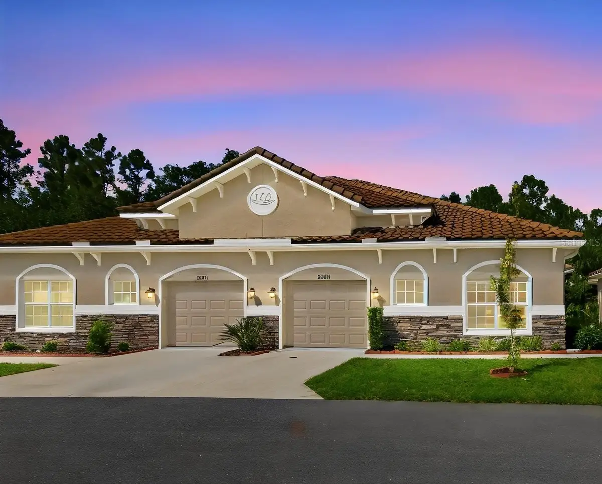 29817 Anand Vihar Drive, Wesley Chapel, FL 33543 - #1
