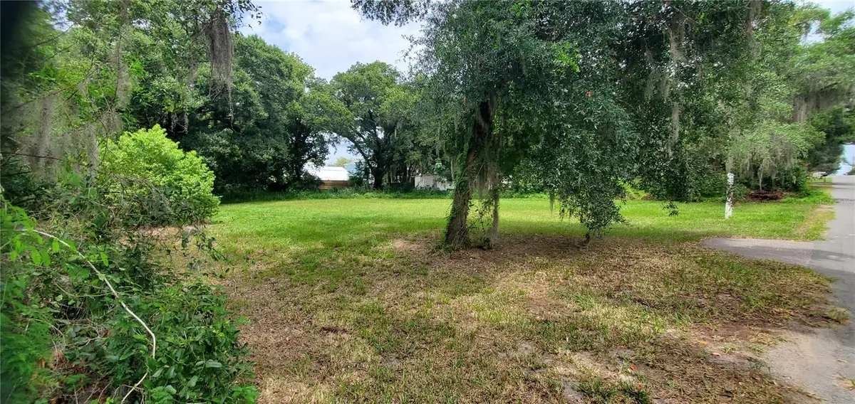 206 E Pine Avenue, Mount Dora, FL 32757 - #1