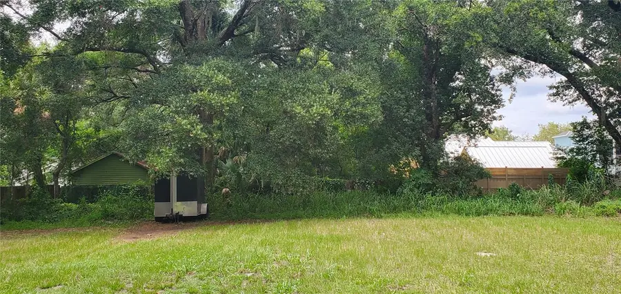 206 E Pine Avenue, Mount Dora, FL 32757 - #2