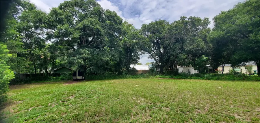 206 E Pine Avenue, Mount Dora, FL 32757 - #3