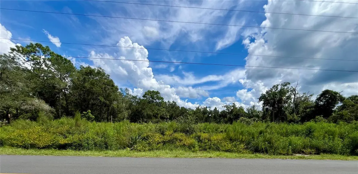 12362 W Riverwood Drive, Crystal River, FL 34428 - #1