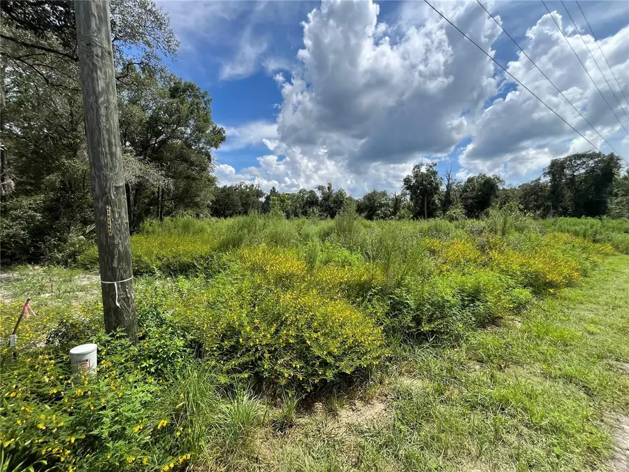 12362 W Riverwood Drive, Crystal River, FL 34428 - #3