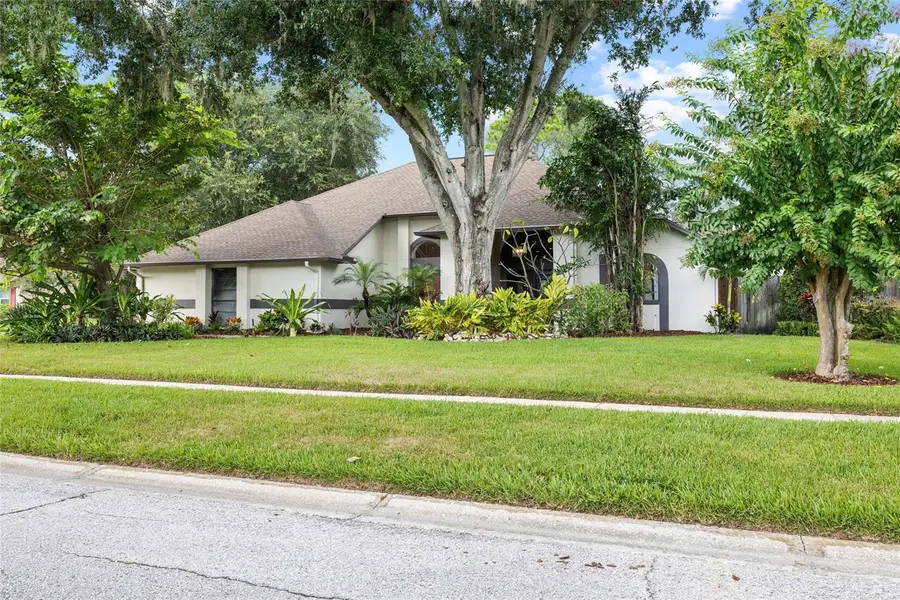18243 Clear Lake Drive, Lutz, FL 33548 - #3