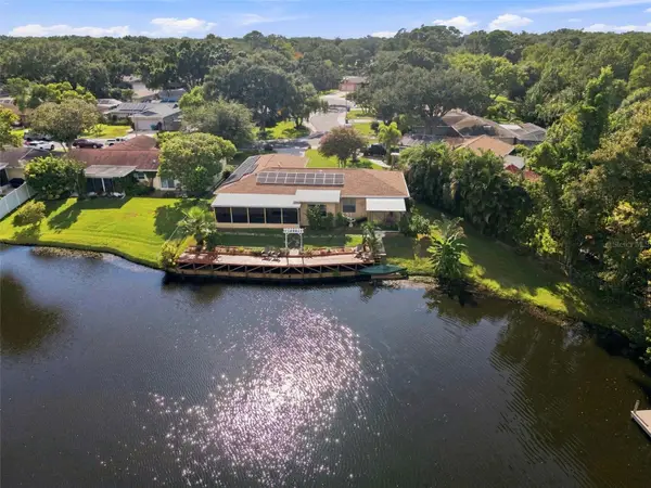 10681 Seminole Forest Street E, SEMINOLE, FL 33778