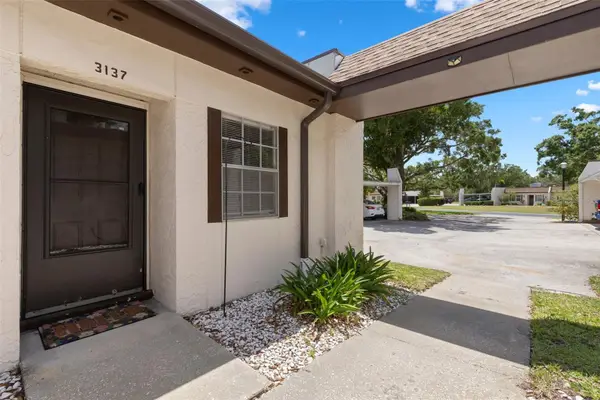 3137 Mission Grove Drive, PALM HARBOR, FL 34684