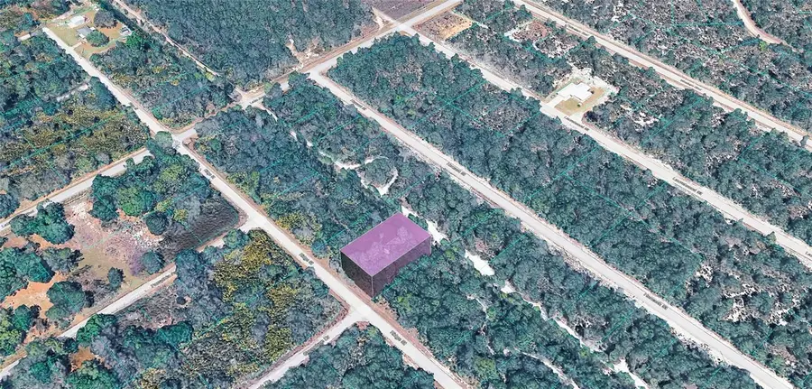 953 Ridge Street, Lake Placid, FL 33852 - #3