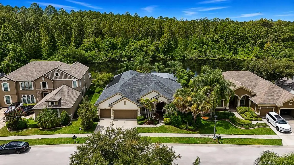 1637 Abyss Drive, Odessa, FL 33556 - #1