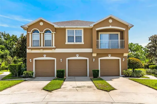 8890 Moonlit Meadows Loop, RIVERVIEW, FL 33578