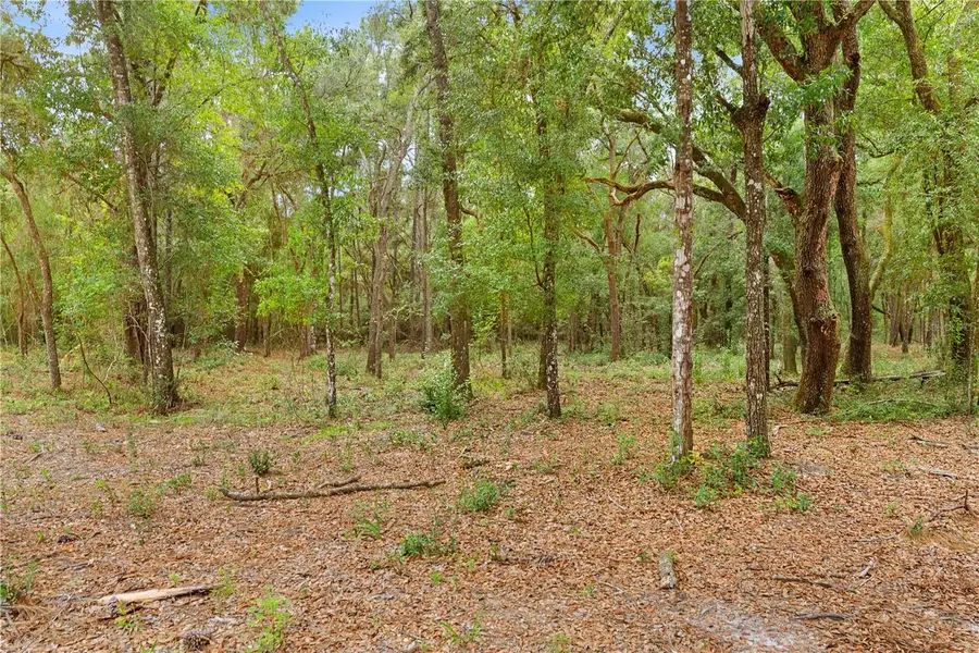0 Shaver Drive, Brooksville, FL 34601 - #3