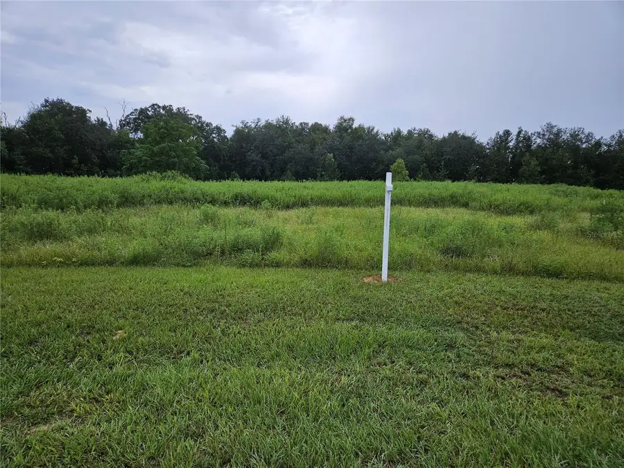 8801 Valerie Court, Zephyrhills, FL 33540 - #2