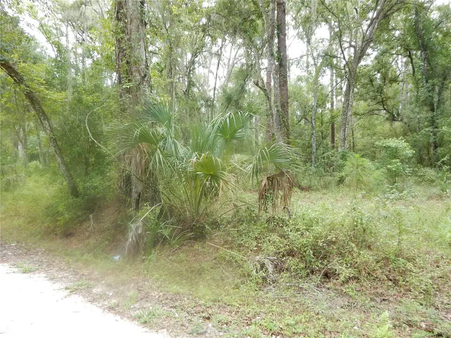 Central Avenue, Zephyrhills, FL 33540 - #2