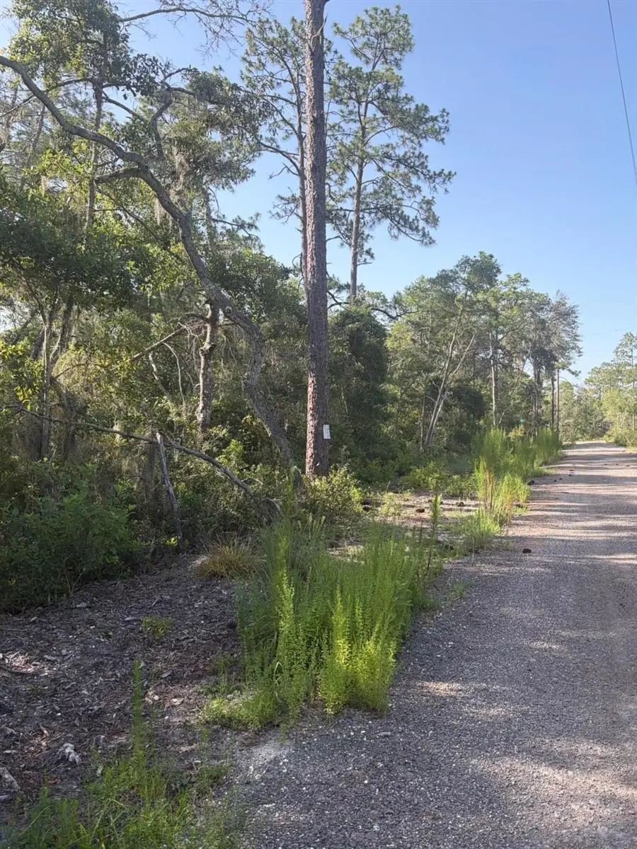 0 Shyla Road, Brooksville, FL 34604 - #2