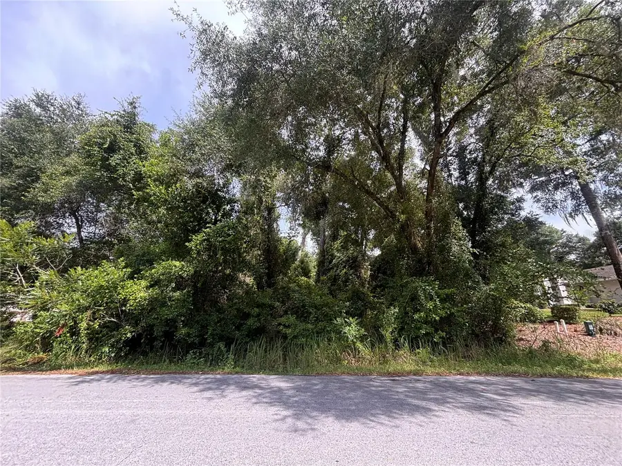 SW 98th Loop, Dunnellon, FL 34432 - #2