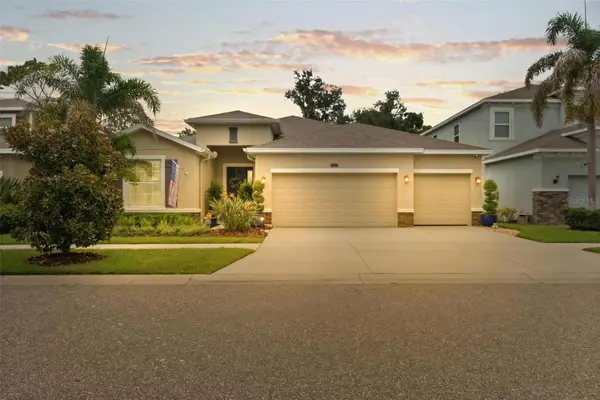 10321 Riverdale Rise Drive, RIVERVIEW, FL 33578