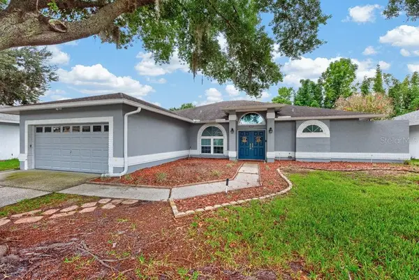 22832 Cypress Trail Drive, LUTZ, FL 33549