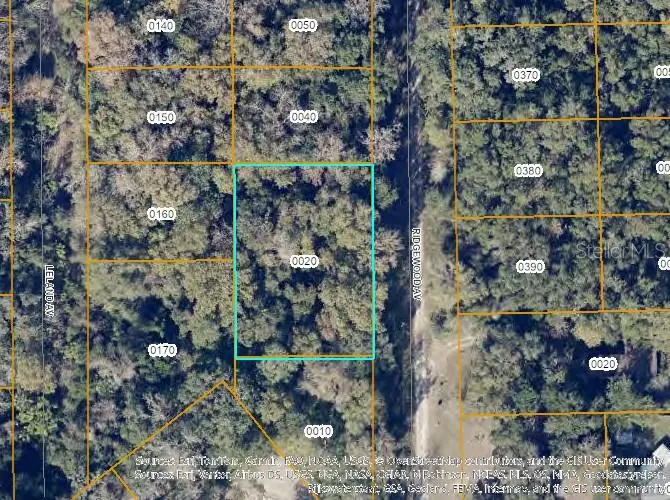 TBD Ridgewood Avenue, De Leon Springs, FL 32130 - #2