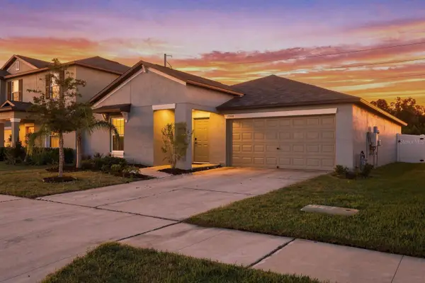 10358 Shady Preserve Drive, RIVERVIEW, FL 33578