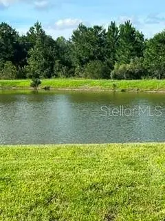 17973 Dairy Farm Court, Land O Lakes, FL 34638 - #2