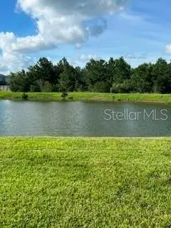 17973 Dairy Farm Court, Land O Lakes, FL 34638 - #3