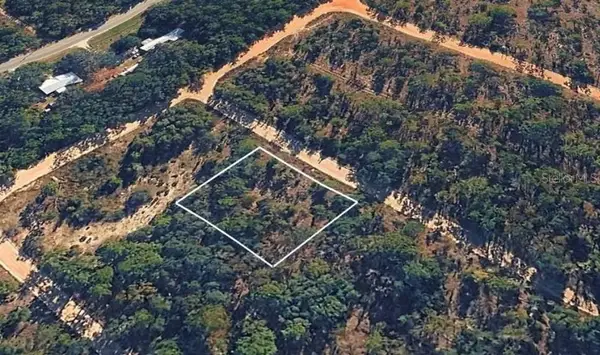 Sandra Lane, HAWTHORNE, FL 32640