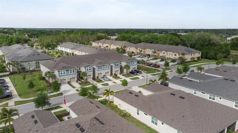 11530 Cambium Crown Drive, Riverview, FL 33569 - #3