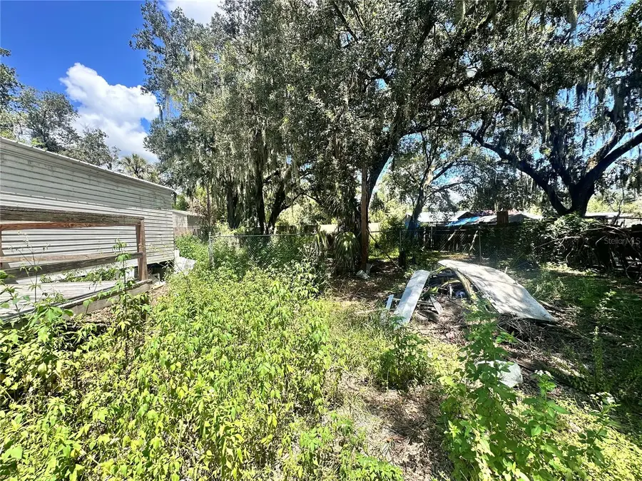 9011 Carey Road, Lithia, FL 33547 - #3