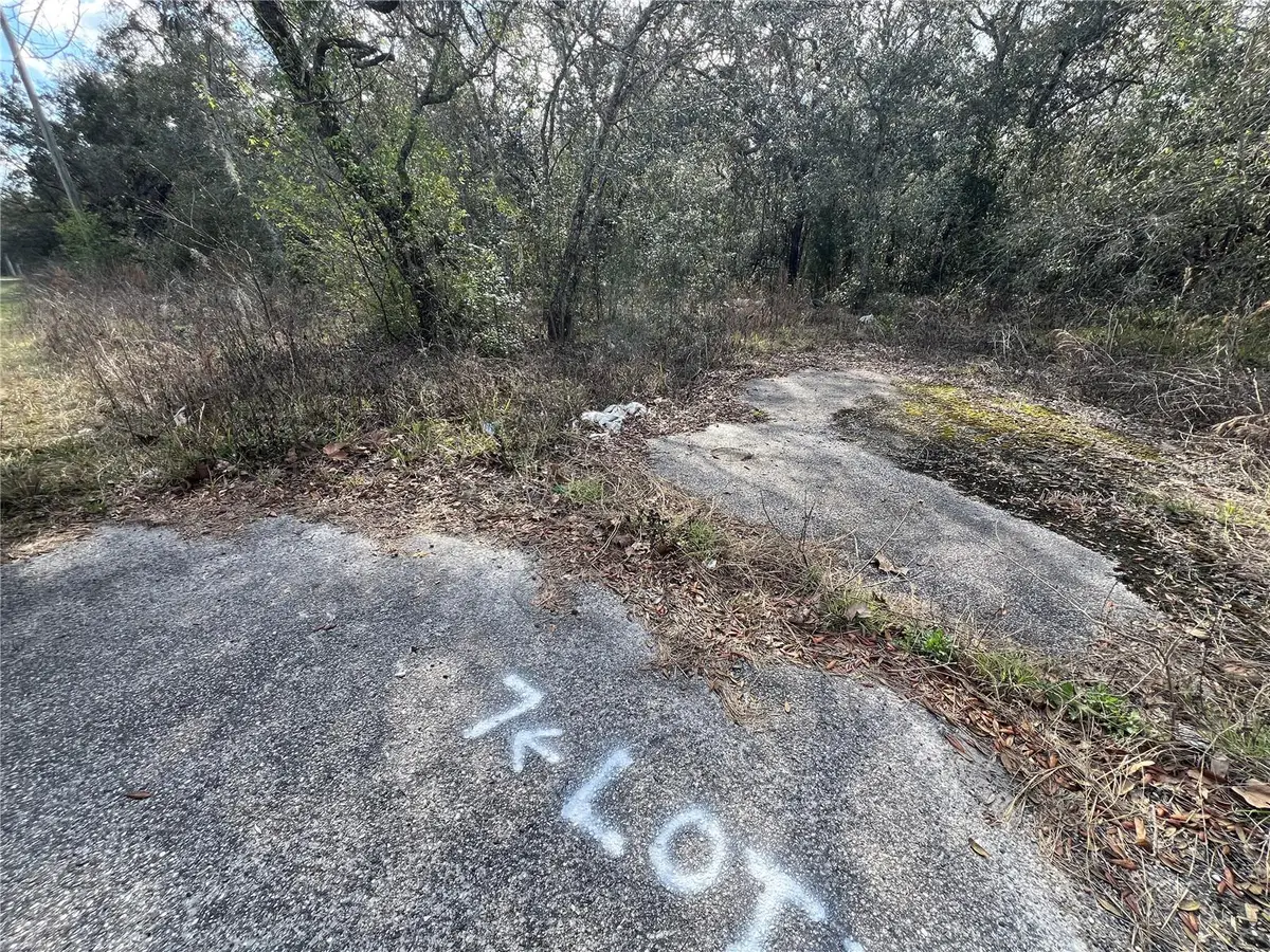 Lot 7 Hays Rd, Hudson, FL 34669 - #1