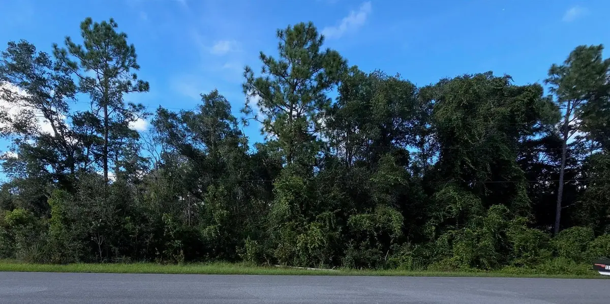 13155 Saddle Way, Brooksville, FL 34613 - #1