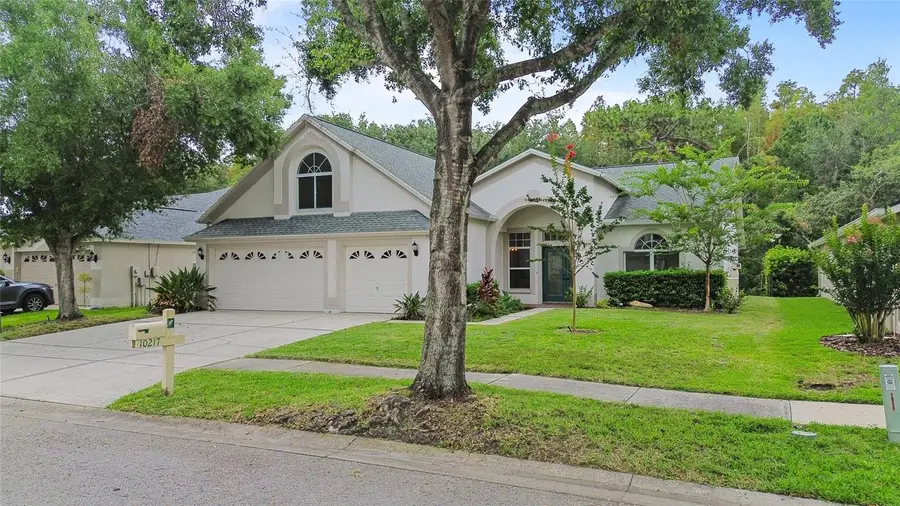 10217 Timberland Point Drive, Tampa, FL 33647 - #3