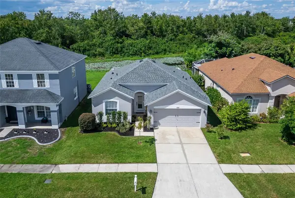 11313 Village Brook Drive, RIVERVIEW, FL 33579