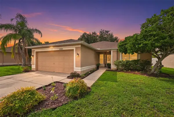 13203 Prestwick Creek Drive, RIVERVIEW, FL 33579