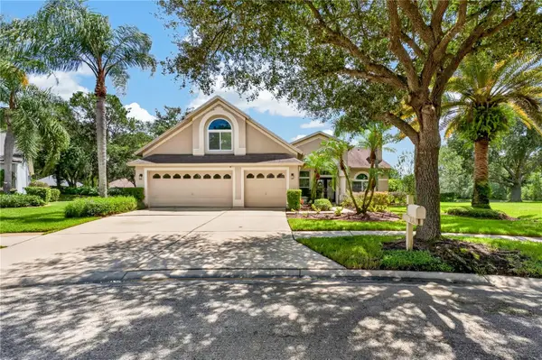 10160 Whisper Pointe Drive, TAMPA, FL 33647