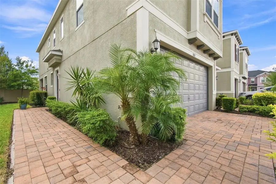 3207 Painted Blossom Court, Lutz, FL 33558 - #3