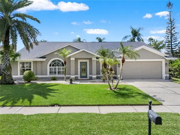 9211 Mill Circle, TAMPA, FL 33647