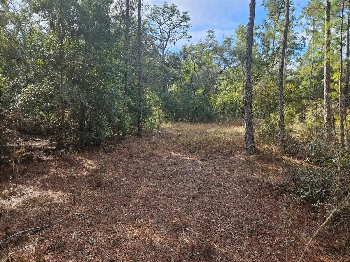 Rosehill Drive, Webster, FL 33597 - #1