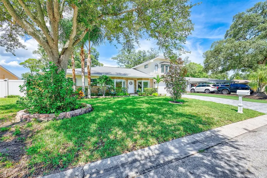 812 Willowbranch Avenue, Clearwater, FL 33764 - #3