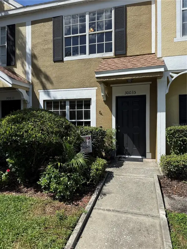 30035 Granda Hills Court, WESLEY CHAPEL, FL 33543