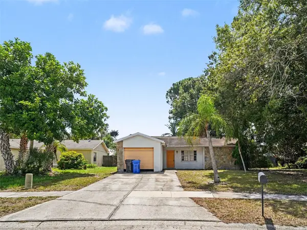 11329 Blackbark Dr, RIVERVIEW, FL 33579