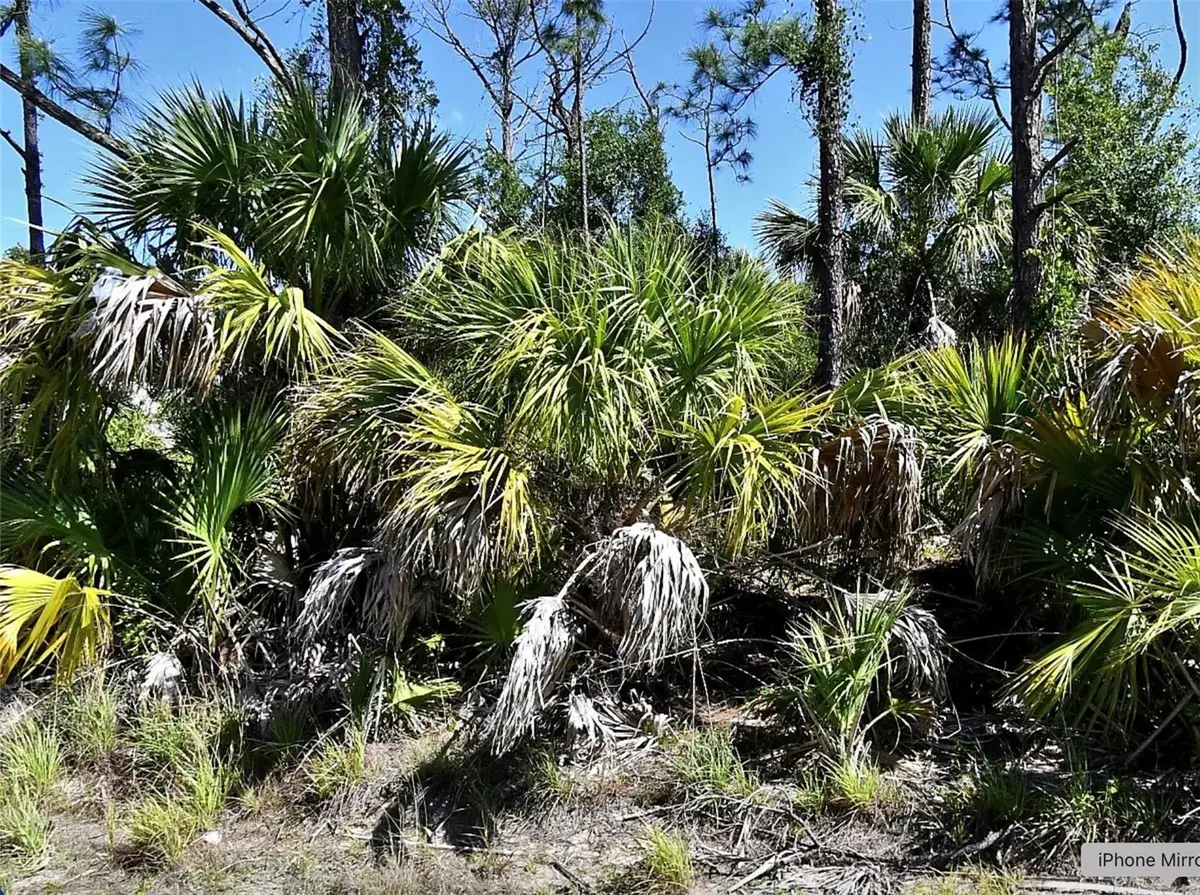 Guttenburg Road, North Port, FL 34288 - #1