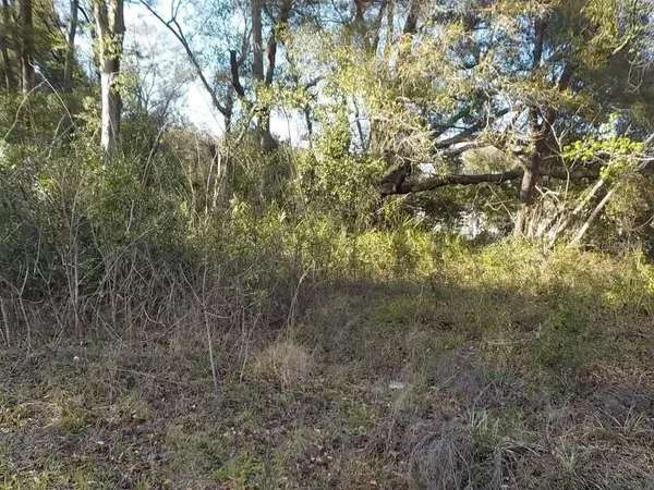 0 SE 139th Lane #LOT 43, SUMMERFIELD, FL 34491