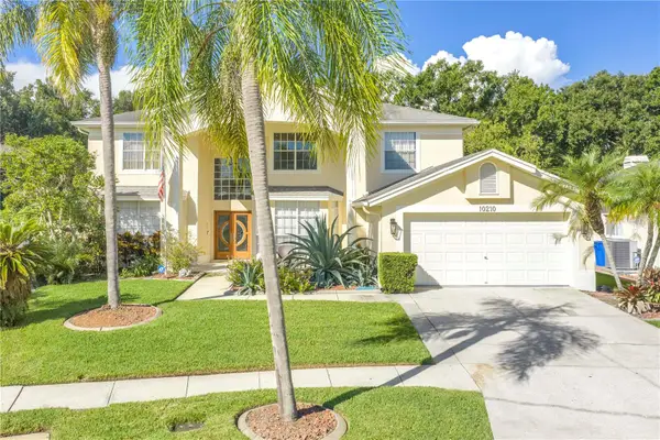 10210 Vista Pointe Drive, TAMPA, FL 33635
