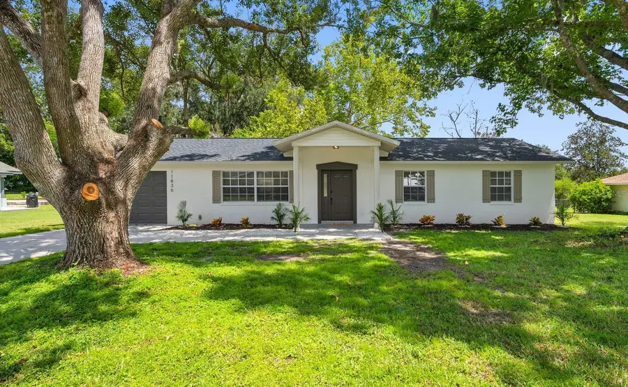 11836 Orange Street, San Antonio, FL 33576 - #3
