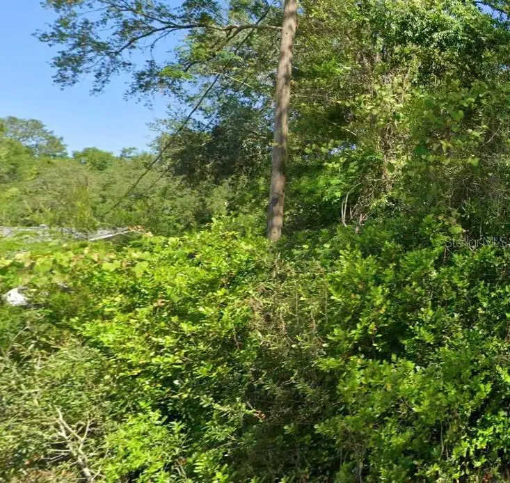 19667 Flamingo Drive, Dunnellon, FL 34431 - #1