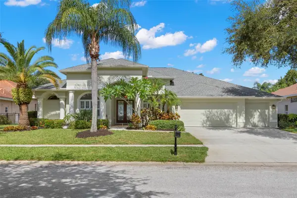 10205 Falcon Terrace, SEMINOLE, FL 33778